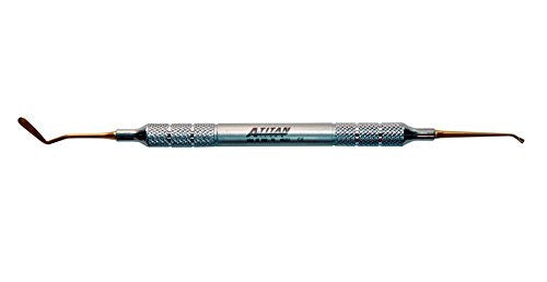 A TITAN Burnisher Double Ended, Egg