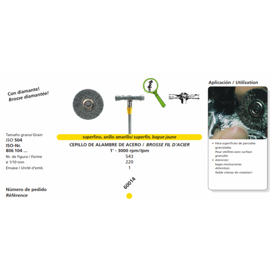 DFS WIRE BRUSH WHEEL Diamond Coarse Grit 22mm