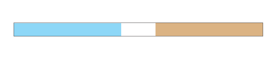 Micerium Shiny Strips Fine (Blue) Extrafine (Brown) Grain